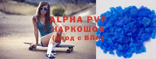 ECSTASY Бородино