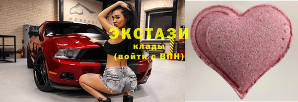 стаф Верея