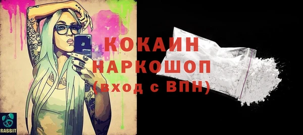 стаф Верея