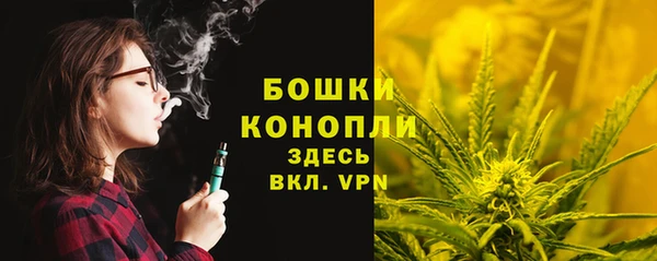 твердый Бронницы