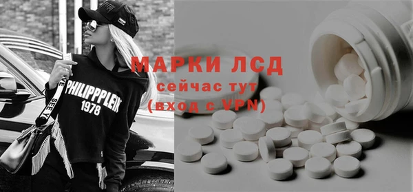 ECSTASY Бородино
