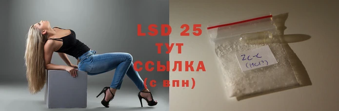 стаф Верея