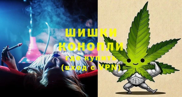 ECSTASY Бородино