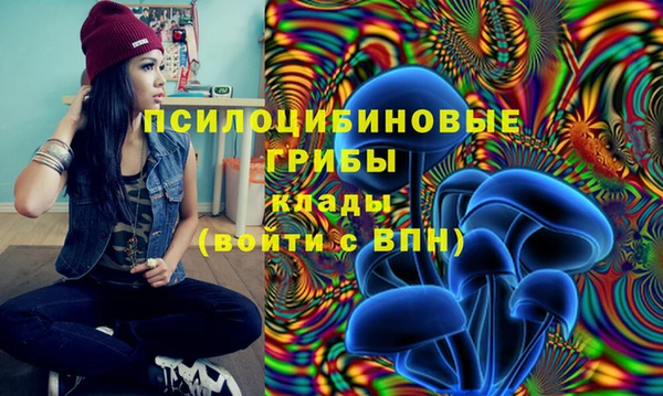 гашик Верхнеуральск