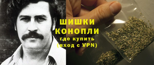 стаф Верея