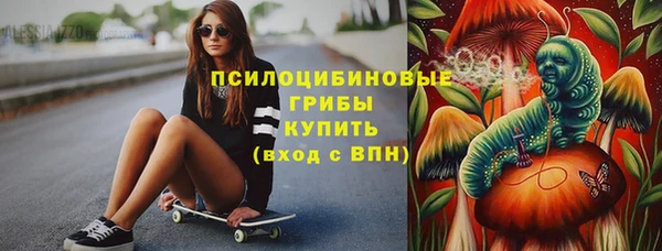 Альфа ПВП Бугульма