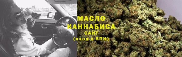 стаф Верея