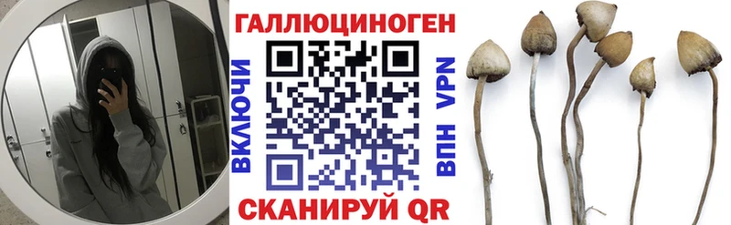 Галлюциногенные грибы MAGIC MUSHROOMS  Глазов 